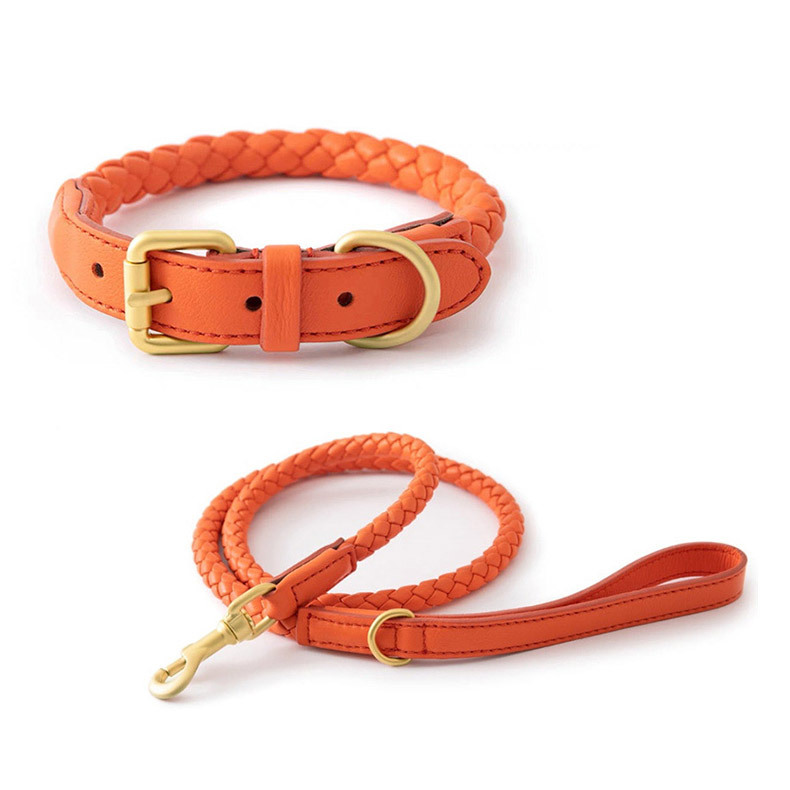 Headcollar Rope Set - Set Collare e Guinzaglio Regolabile in
