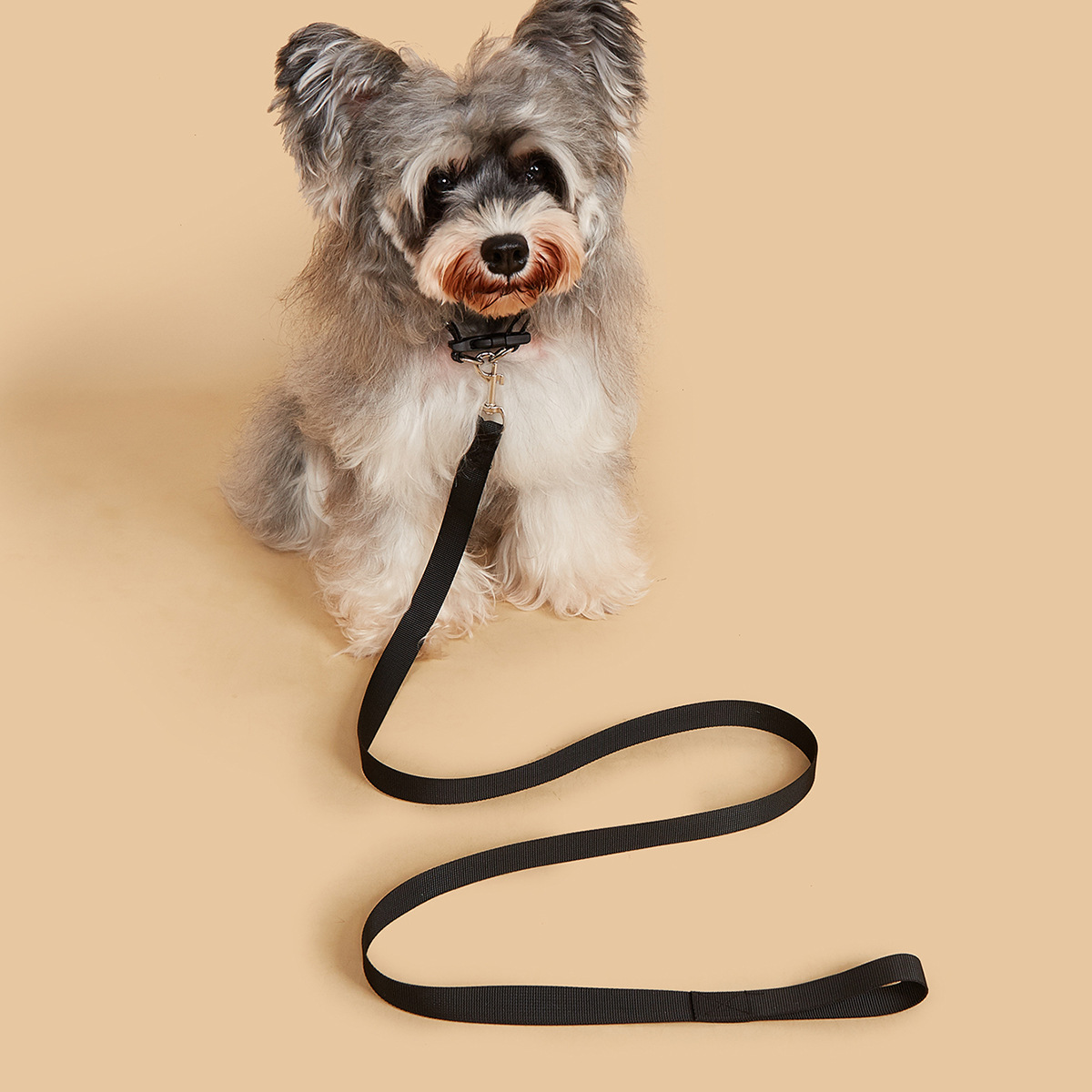 Set Guinzaglio e Collare per C - Headcollar Rope Set recensione e prezzo