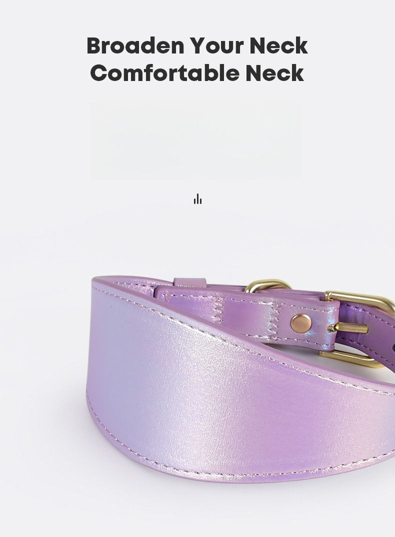 Set Collare e Guinzaglio per C - Headcollar Rope Set recensione e prezzo