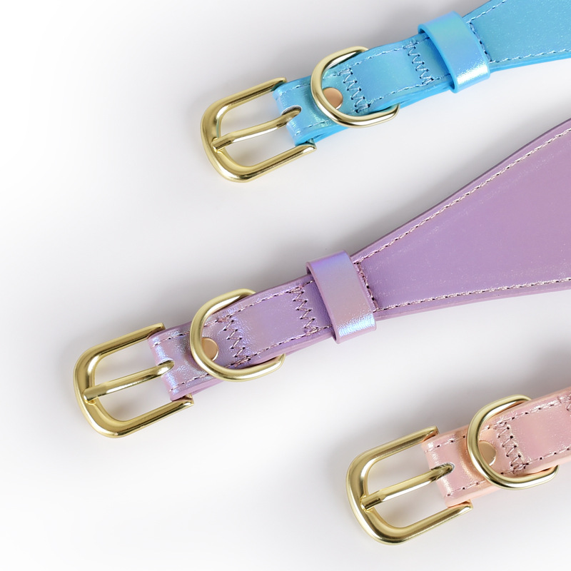 Set Collare e Guinzaglio per C - Headcollar Rope Set recensione e prezzo