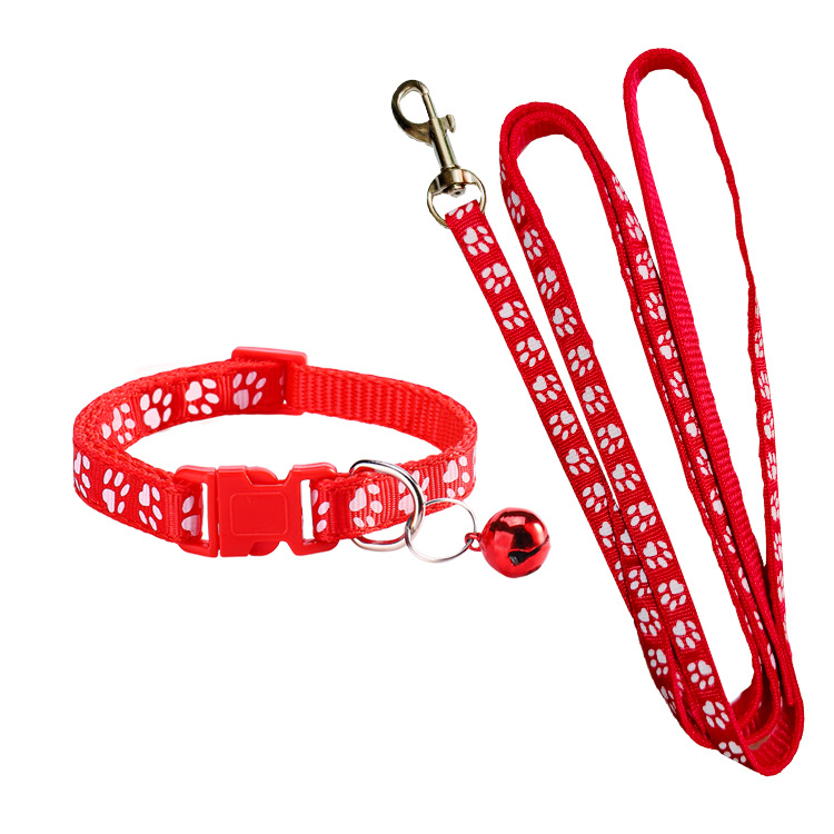 Guinzaglio per Cani con Stampa - Headcollar Rope Set recensione e prezzo