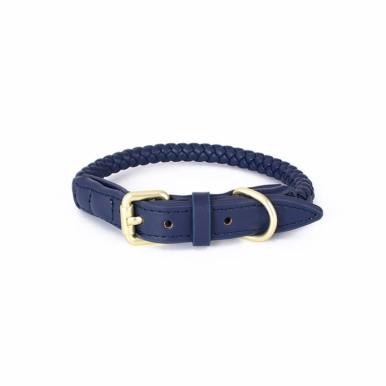 Set Collare e Guinzaglio Regol - Headcollar Rope Set recensione e prezzo